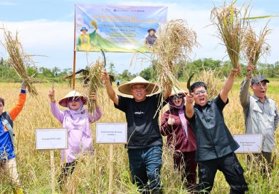 Panen Bersama Padi Gogo Perdana di Nusantara, Dukung Program Prioritas Presiden Melalui Inovasi Pertanian Panen Bersama Padi Gogo Perdana di Nusantara, Dukung Program Prioritas Presiden Melalui Inovasi Pertanian