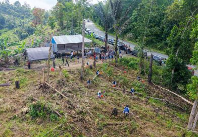 Atasi Perambahan dan Pulihkan Hutan Tahura Bukit Soeharto, Otorita IKN Libatkan Multipihak dalam Aksi Perlindungan Kawasan