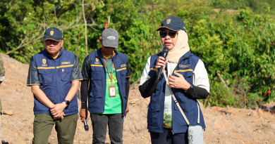 Mengembalikan Fungsi Hutan Bukit Soeharto: IKN Percepat Pemulihan Lahan Bekas Tambang Ilegal