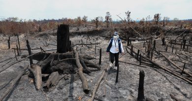 Lindungi Tahura Bukit Soeharto, Otorita IKN Tegaskan Larangan Bakar Lahan