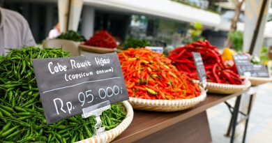 Otorita IKN Gelar Festival Cabai Nusantara, Dorong Pangan Lokal dan Akses Pasar Petani