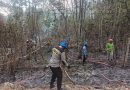 Karhutla di Samboja Barat Meluas, Petugas Gabungan Berhasil Padamkan Api