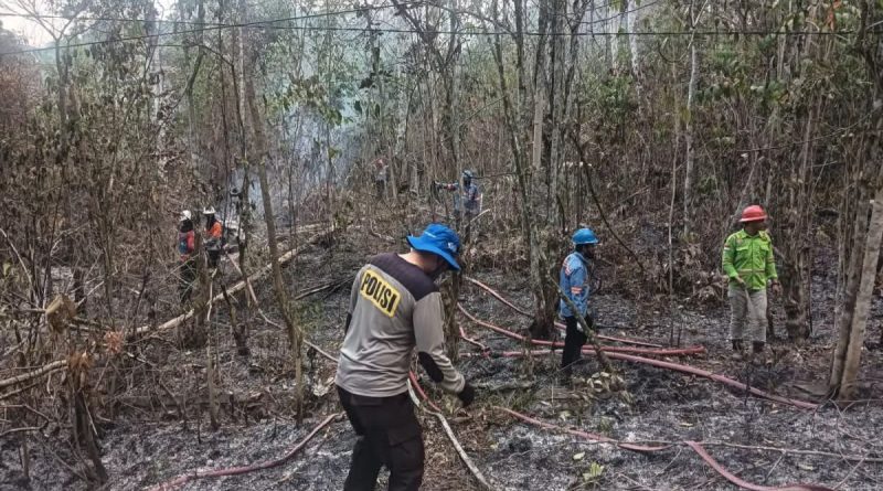 Karhutla di Samboja Barat Meluas, Petugas Gabungan Berhasil Padamkan Api
